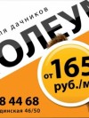 Предложение для дачников в магазинах «Топтыгин»: ЛИНОЛЕУМ  – 165 руб./м. кв.; 